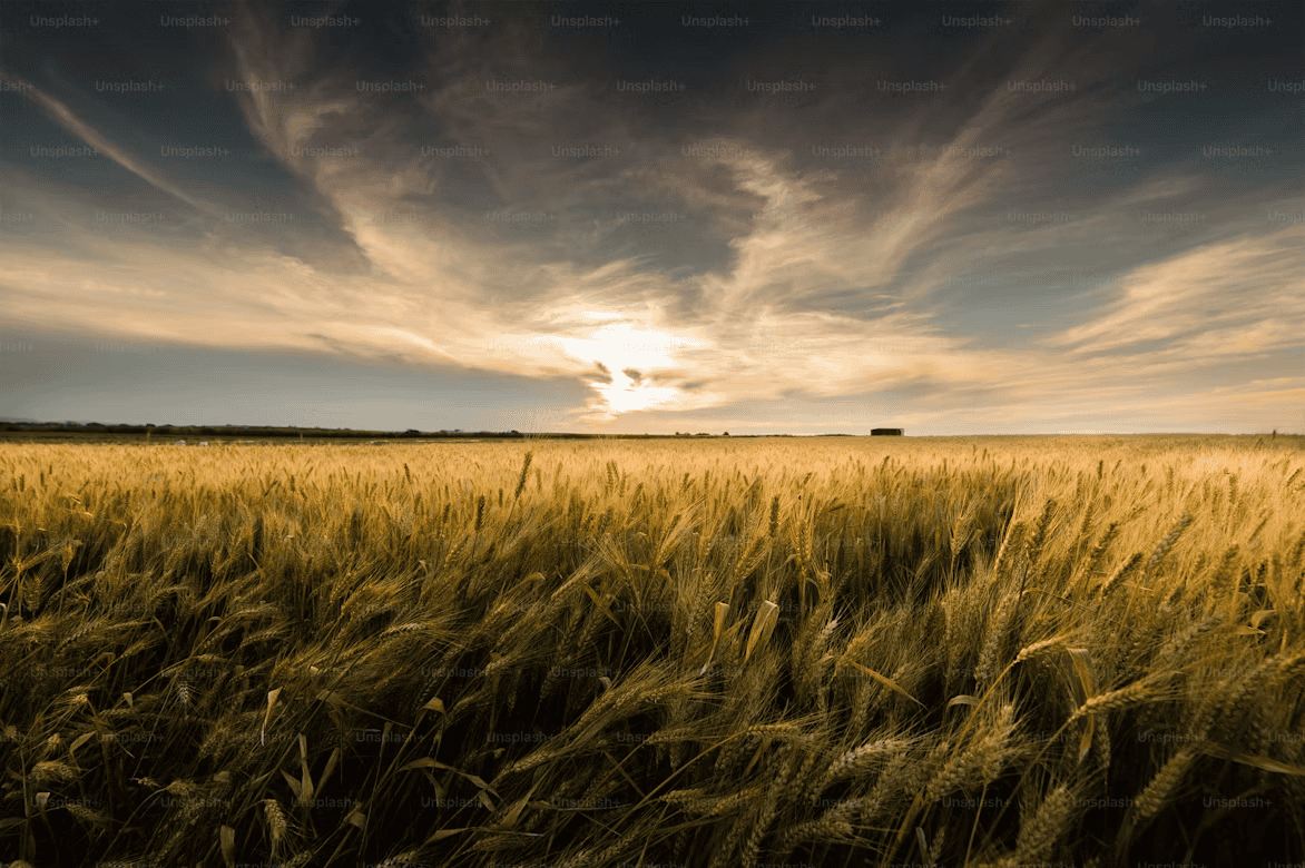 The Divinity of Desire: Freedom versus Fulfillment